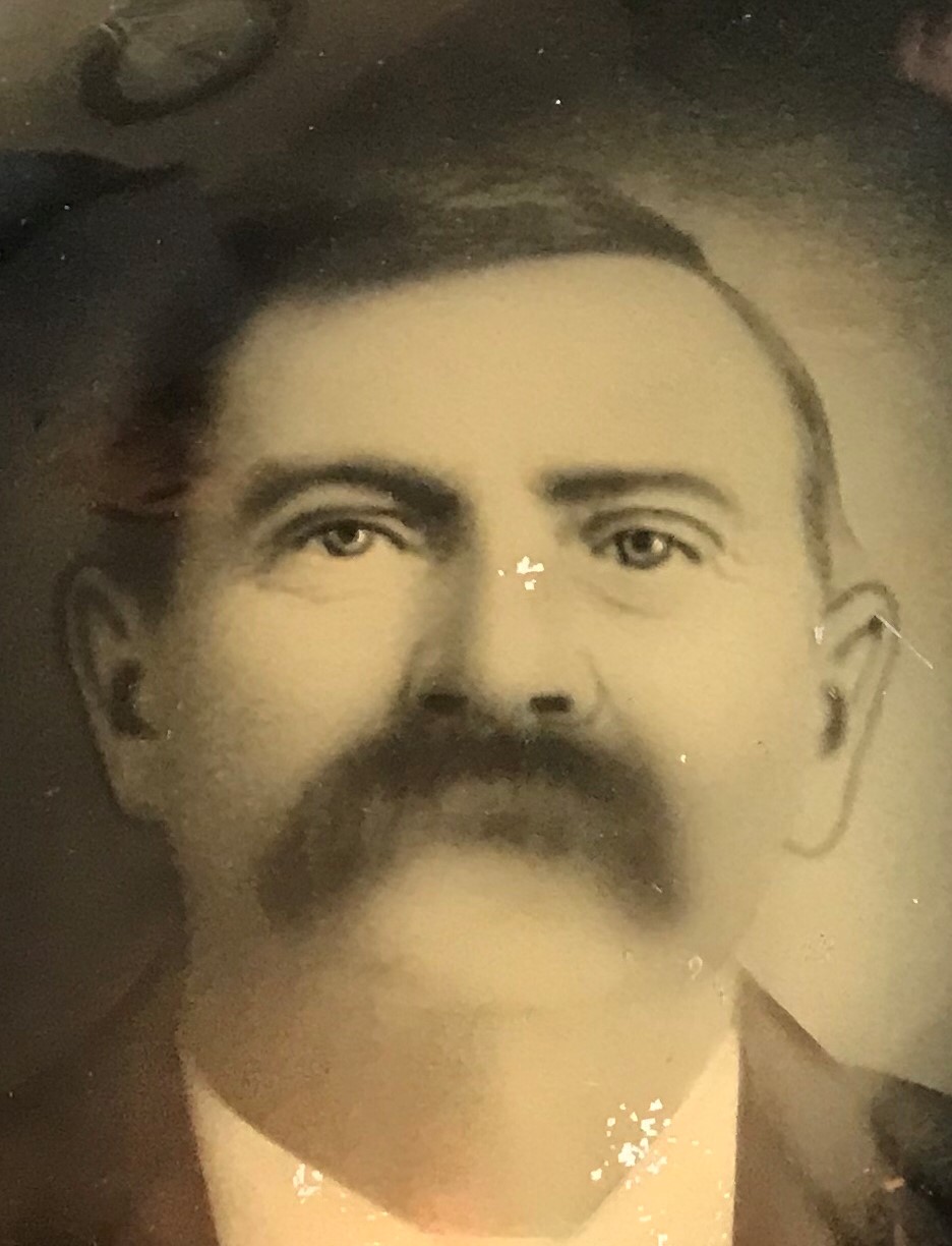 Edwin Gilbert (1849 - 1917) Profile